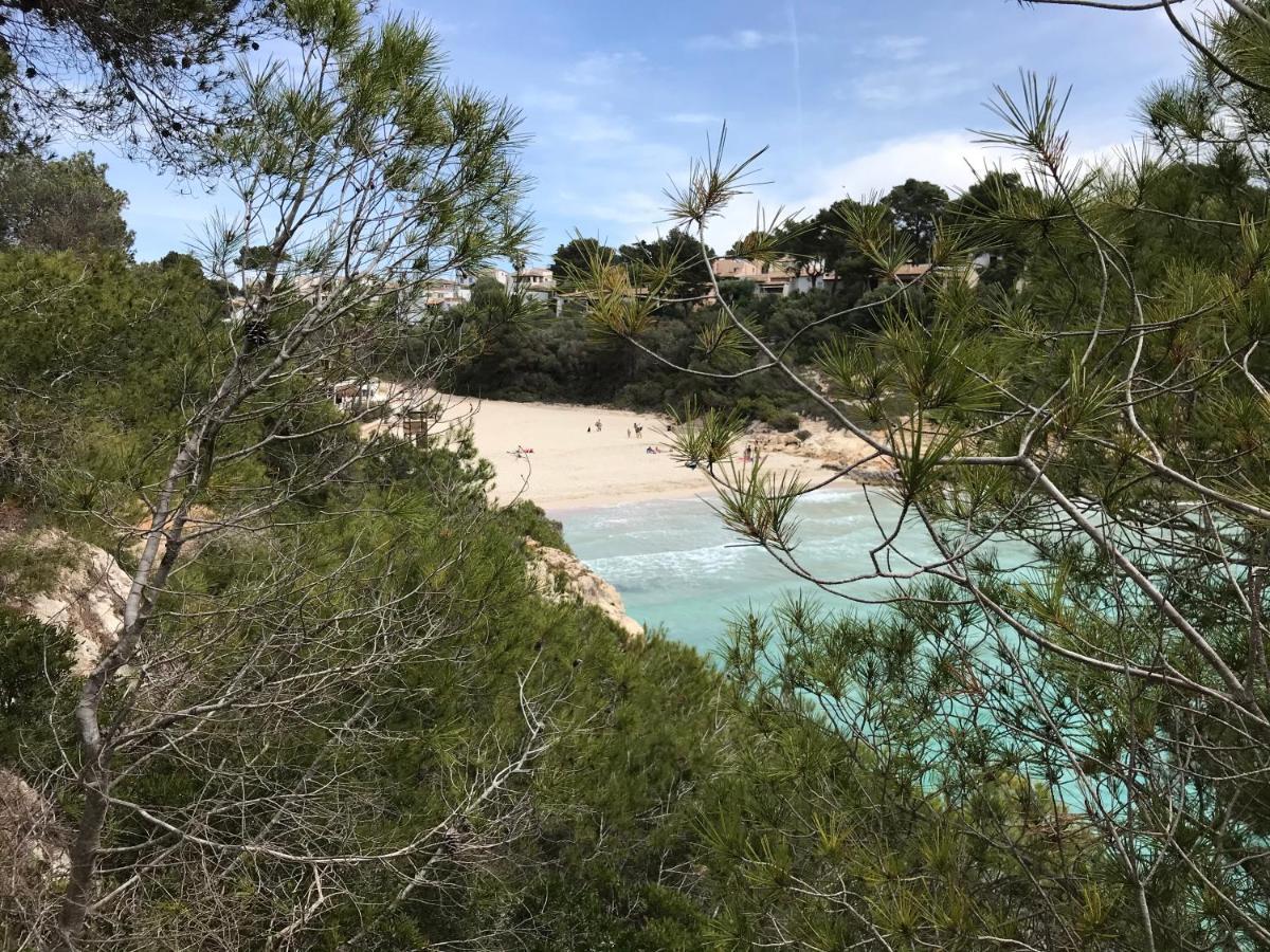 Ses Gavines-Cala Anguila Apartments بورتو كريستو المظهر الخارجي الصورة